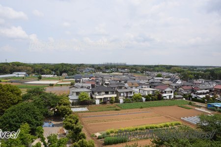 千葉県船橋市坪井東