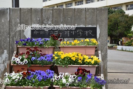 船橋市立坪井小学校　正門