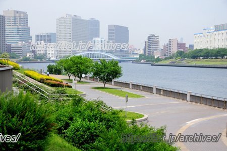 オレンジ・インターナショナル・プリスクール　代表　神先治未さんインタビュー