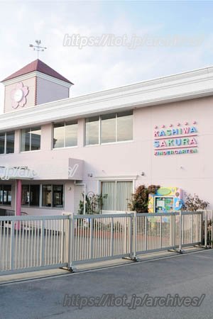 柏さくら幼稚園インタビュー