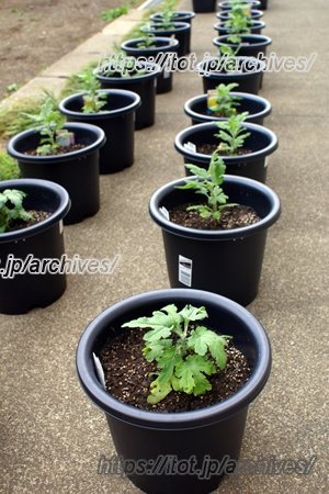 杉並区立和田中学校