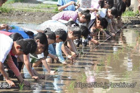 流山市立南流山小学校　三浦教頭先生インタビュー