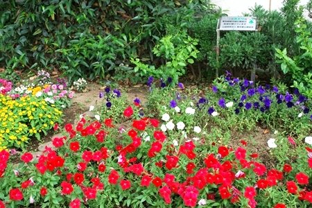 小平市立 小平第十二小学校 校長　木田 明男 先生