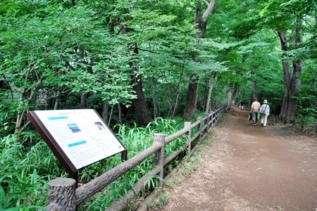小平市立 小平第十二小学校 校長　木田 明男 先生