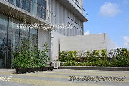 ココテラス湘南