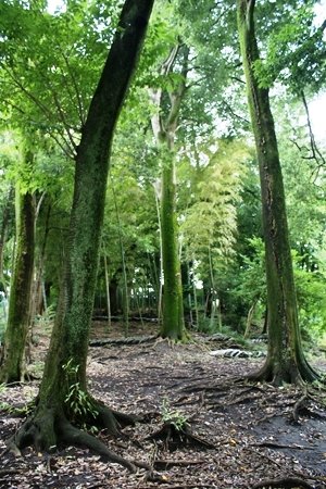 東京都町田市インタビュー