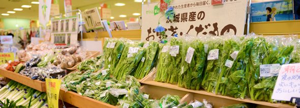 地域の方々から愛されるお店づくりを／ヨークベニマル つくば竹園店　マスター店長 堀越康弘さん