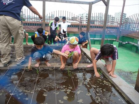 新宿区立早稲田小学校 校長先生インタビュー