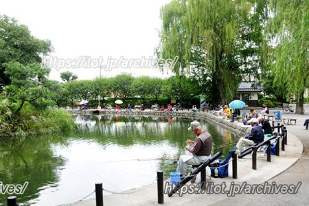 赤塚公園 城址地区