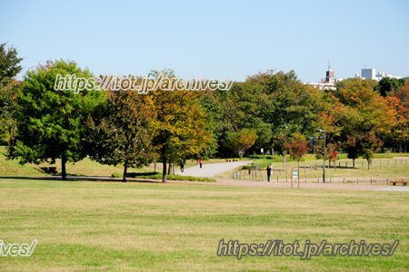 武蔵野の森公園