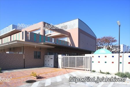 新しく生まれ変わった園舎と恵まれた自然環境の中で育む/船橋市立若葉保育園 園長 寺澤恵子先生