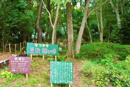子どもたちの「やってみたい」という気持ちを 重視した、自然いっぱいの遊び場づくり／芹ヶ谷公園・冒険遊び場プレーリーダー　岡本恵子さん