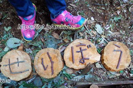 せりがや冒険遊び場