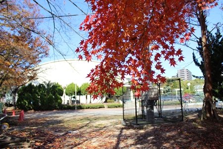 豊中市立第九中学校