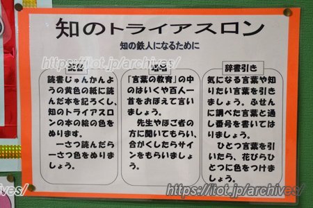 知のトライアスロン