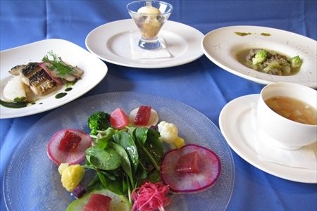 れすとらん さいとう 齊藤さん インタビュー