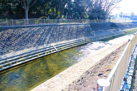 杉並区立松ノ木小学校インタビュー