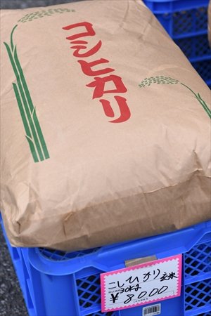 NPO法人マーロード　インタビュー