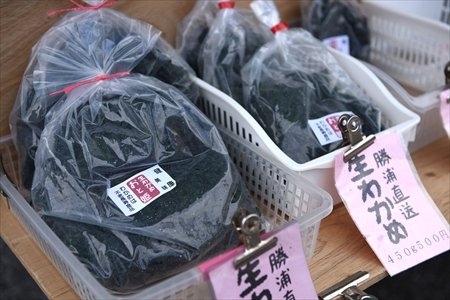 NPO法人マーロード　インタビュー