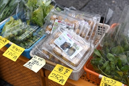 NPO法人マーロード　インタビューレポート