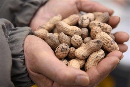 NPO法人マーロード　インタビューレポート