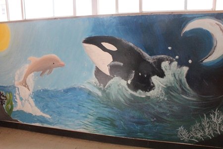 和泉市立光明台中学校　壁画