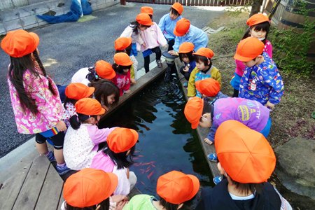 川崎ふたば幼稚園5
