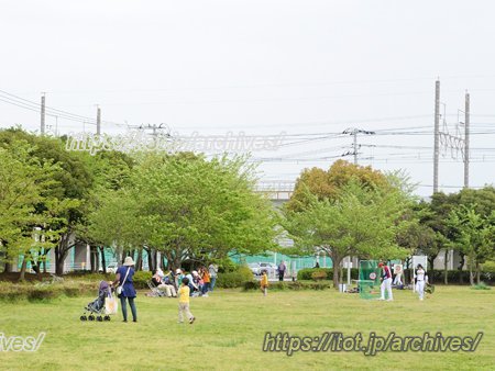 花見川緑地交通公園
