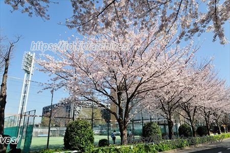 味の素フィールド西が丘