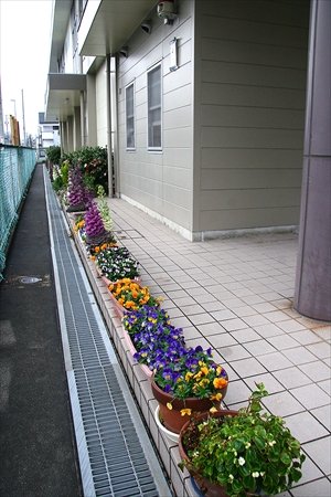 羽根学区子どもの家 インタビュー