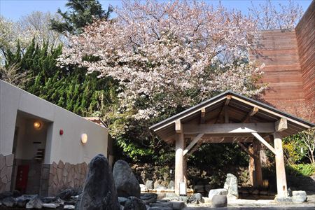 ナフウェルネスクラブ