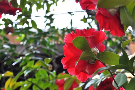 ナフウェルネスクラブ