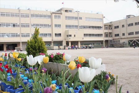 茨木市立茨木小学校　インタビュー