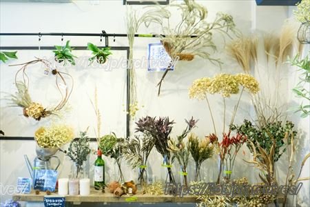 Hallo Gallo 成瀬さんインタビュー