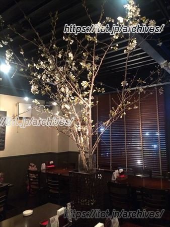 「Hallo Gallo」インタビュー