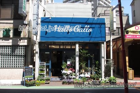 街の“カッコいい花屋さん”を目指して/Hallo Gallo(ハローガロー)オーナー 成瀬拓也 さん