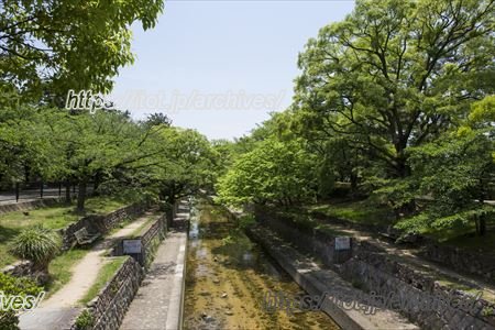 夙川河川敷緑地（川西町六丁目付近）