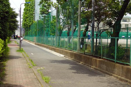 貫井中学校木立