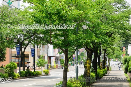 桜台エリアの街並み