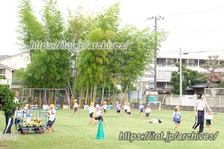 田無いづみ幼稚園 インタビュー スポーツ
