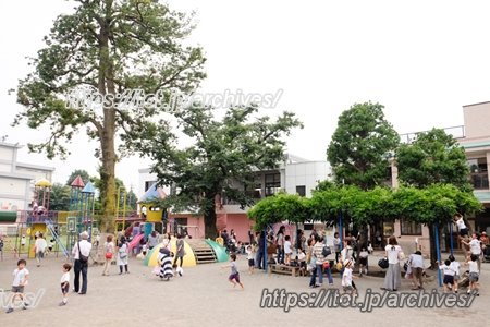 田無いづみ幼稚園 インタビュー 子どもたち