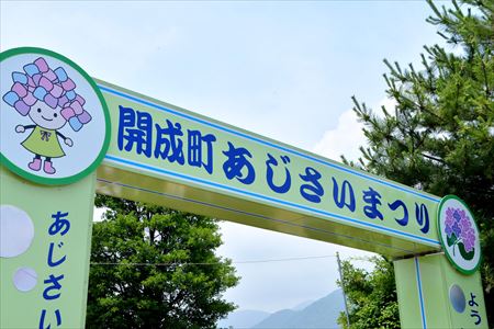 あじさい祭り　ゲート