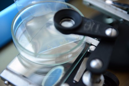 おおさわ学園 三鷹市立羽沢小学校