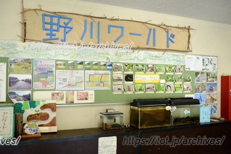 おおさわ学園 三鷹市立羽沢小学校