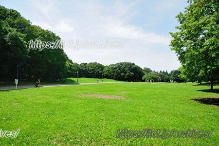 光が丘公園