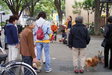 わんわんパトロールの様子