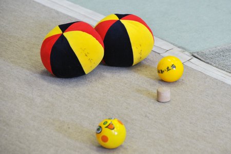 小平市立御幸地域センター御幸地域センター　子育てふれあい広場　ボール