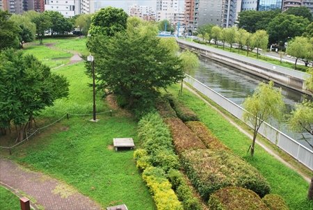 木場公園　川沿い