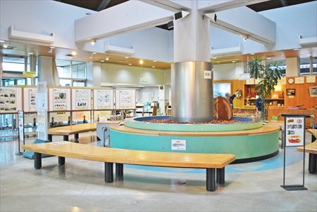 木場ミドリアム