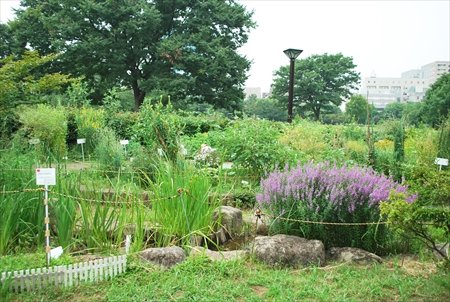 都市緑化植物園
